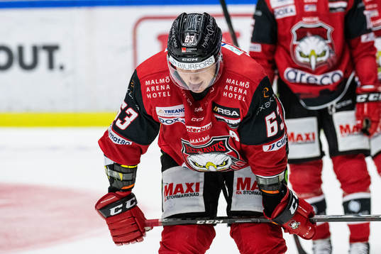 Malmö Redhawks Fredrik Händemark deppar