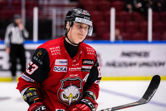 Malmö Redhawks Fredrik Händemark deppar