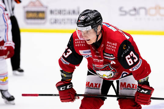 Malmö Redhawks Fredrik Händemark deppar