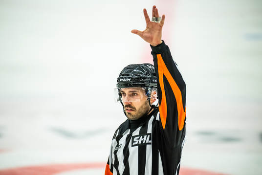 Domare Mattias Enroth