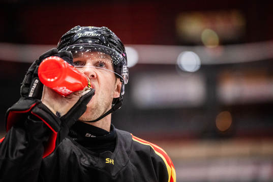 Brynäs Greg Scott