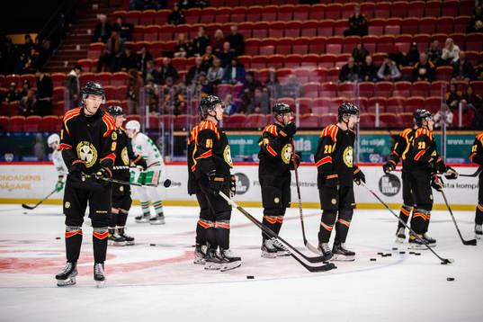 Brynäs spelare