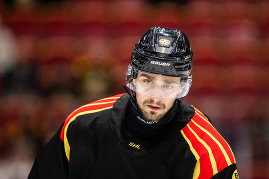Brynäs Niklas Friman
