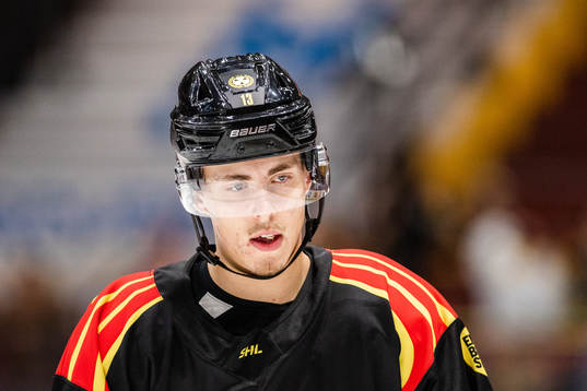 Brynäs Samuel Johannesson