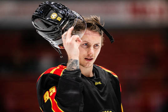 Brynäs Nick Olesen