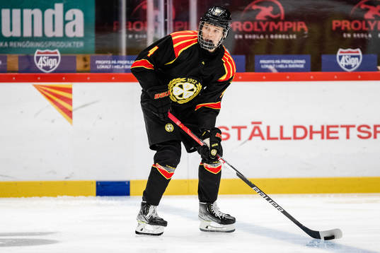 Brynäs Theo Lindstein
