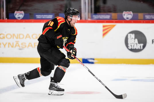 Brynäs Johan Larsson