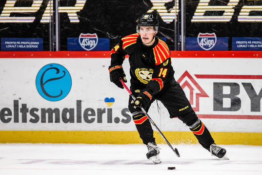 Brynäs Alexander Ljungkrantz