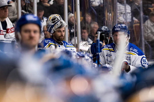 Leksands målvakt Mantas Armalis deppar