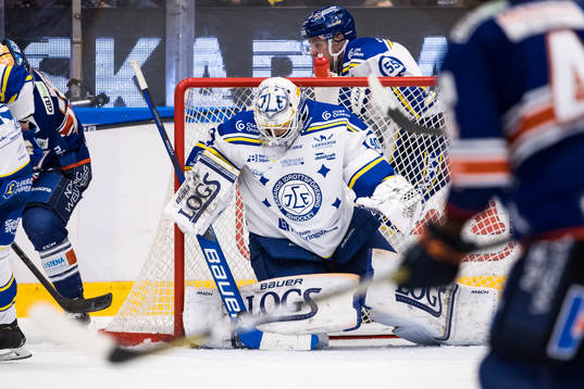 Leksands målvakt Mantas Armalis