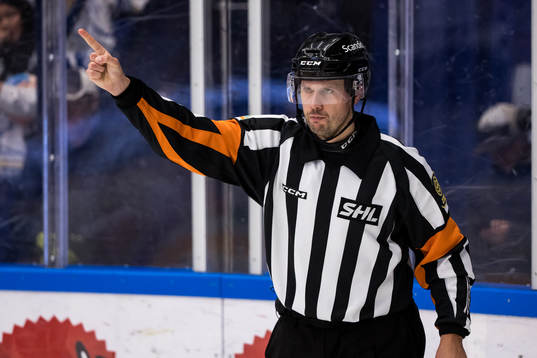 Domare Johan Magnusson