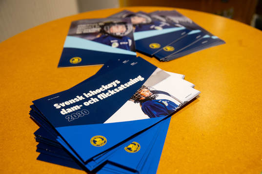 Informationsblad