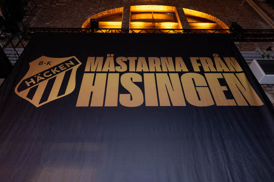 En stor vepa