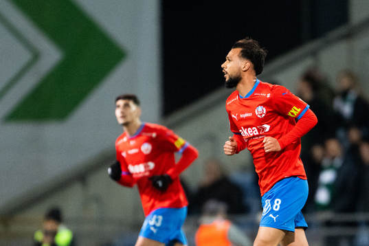 Helsingborgs Sumar Almadjed