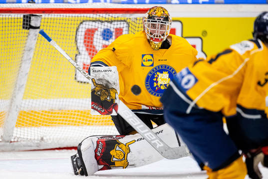 Norrbottens målvakt Love Härenstam