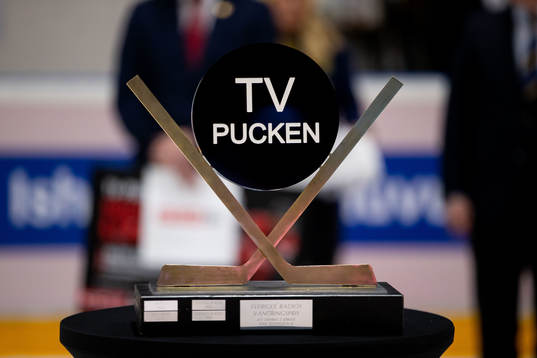 Tv-pucken bucklan
