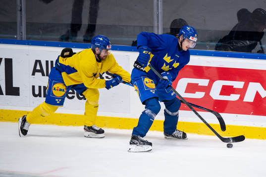 Oskar Lang and Jonathan Johnson of Sweden at a training