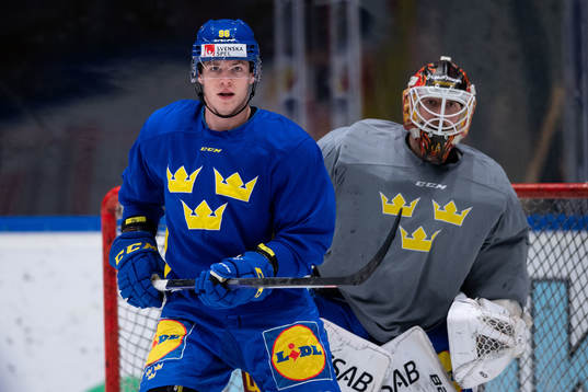 Rickard Hugg and goaltender Joel Lassinantti of Sweden at a