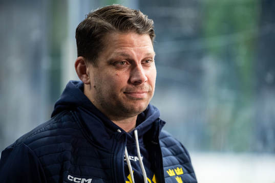 Assistant General Manager Josef Boumedienne of Sweden at a