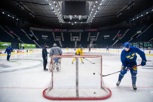 Genral view of Sweden at a training session with the