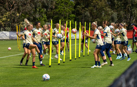 Players of the Swedish women's national football team