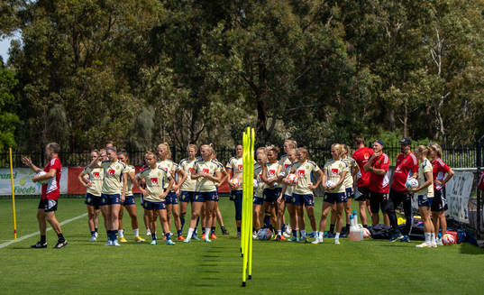 Players of the Swedish women's national football team