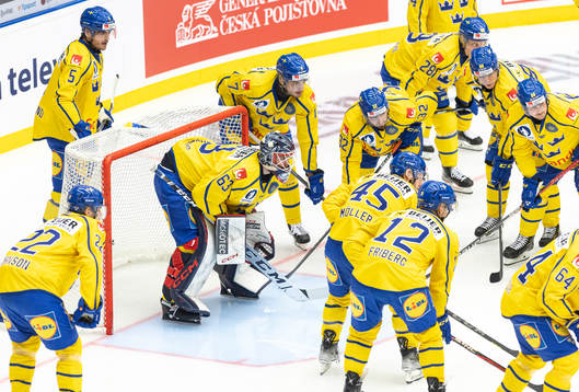 Players of Sweden