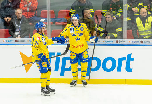 André Petersson and Pär Lindholm of Sweden celebrate