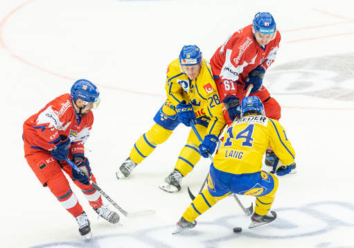 Petr Holik and Lubos Horky of Czech Republic against Anton