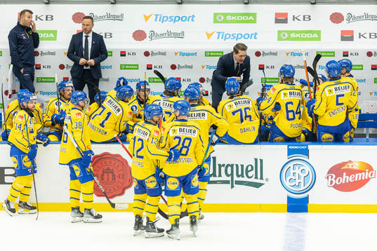 Head coach Sam Hallam of Sweden