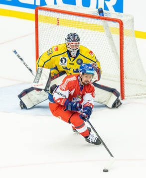 Goaltender Marcus Högberg of Sweden and Petr Holik of