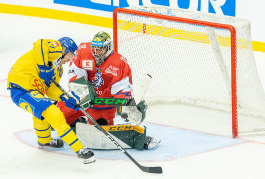Pär Lindholm of Sweden and goaltender Marek Langammer of