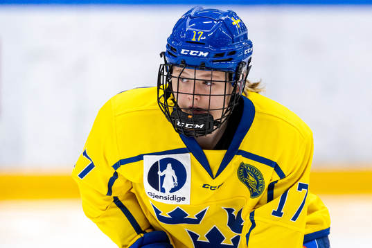 Sveriges Anna Brenkle värmer upp