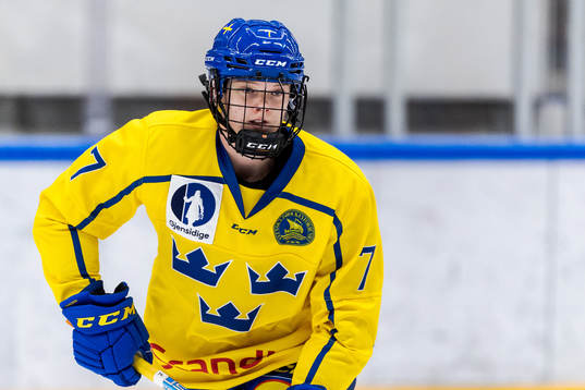 Sveriges Maja Ålenius