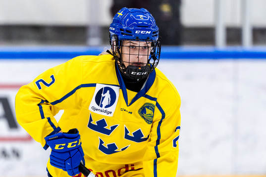 Sveriges Liv Jonsson