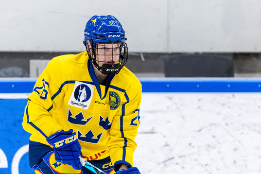 Sveriges Emma Goding
