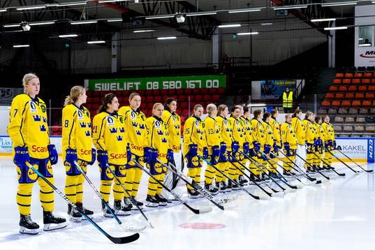 Sveriges spelare