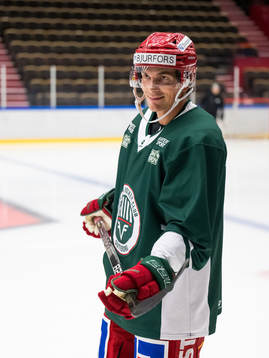 Loui Eriksson