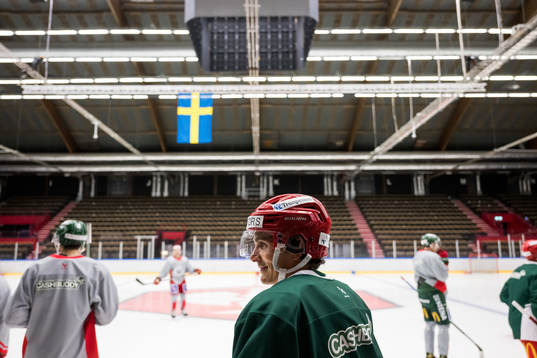 Loui Eriksson
