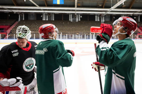 Målvakt Lars Johansson, Joel Lundqvist och Loui Eriksson