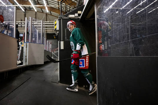 Loui Eriksson