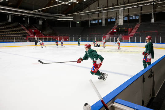 Loui Eriksson