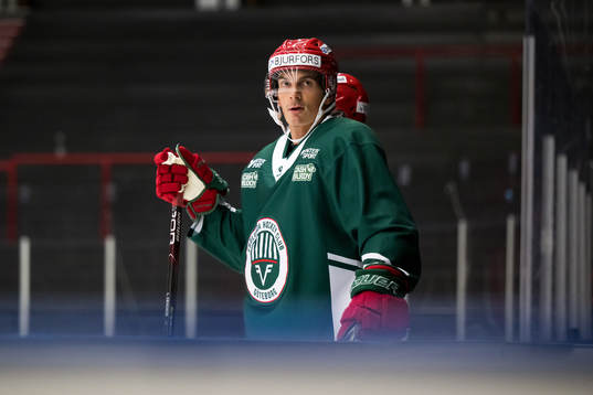 Loui Eriksson