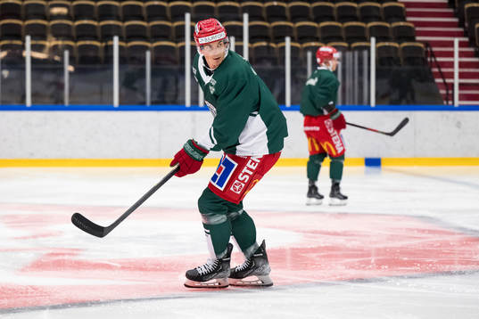 Loui Eriksson