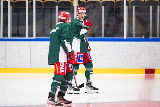 Joel Lundqvist och Loui Eriksson