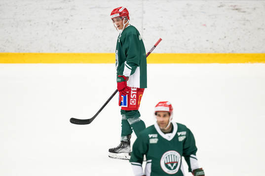 Loui Eriksson och Joel Lundqvist