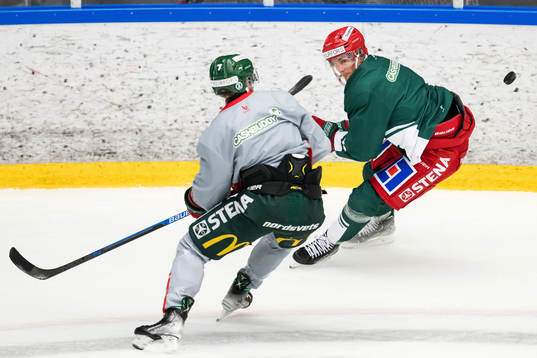 Loui Eriksson