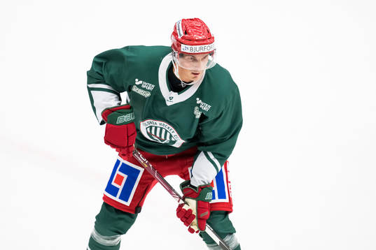 Loui Eriksson
