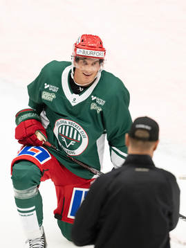 Loui Eriksson