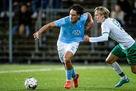 s André Alvarez Perez och Hammarbys Arved von Vegesack